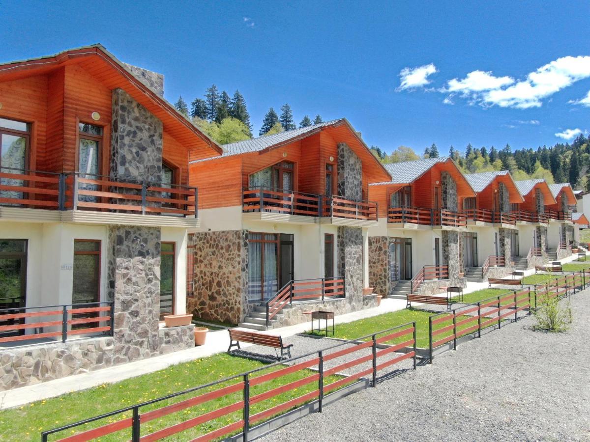 Villa Mtashi Bakuriani Exterior foto