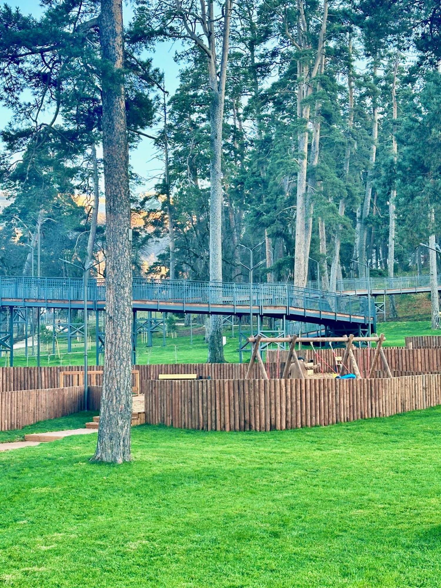Villa Mtashi Bakuriani Exterior foto